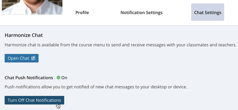 Turn Off Chat Notifications button
