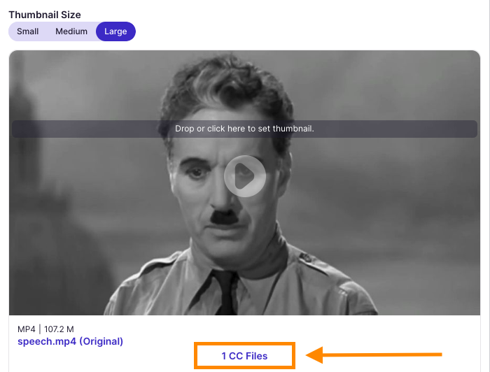 How to Edit Auto-Captioning SRT Files 2 - Click the 