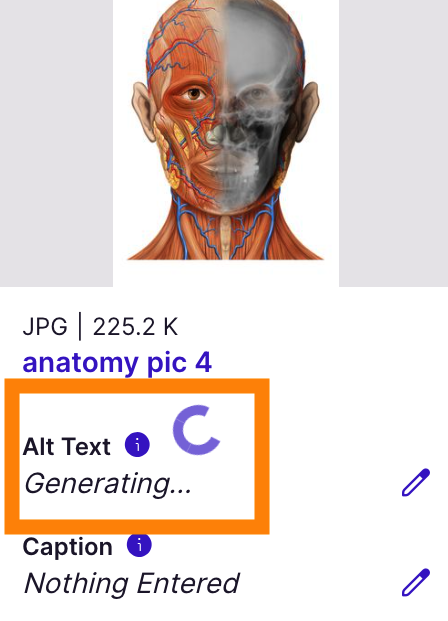 Alt text field generating