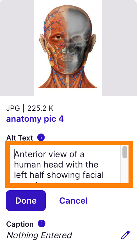 Editable alt text field