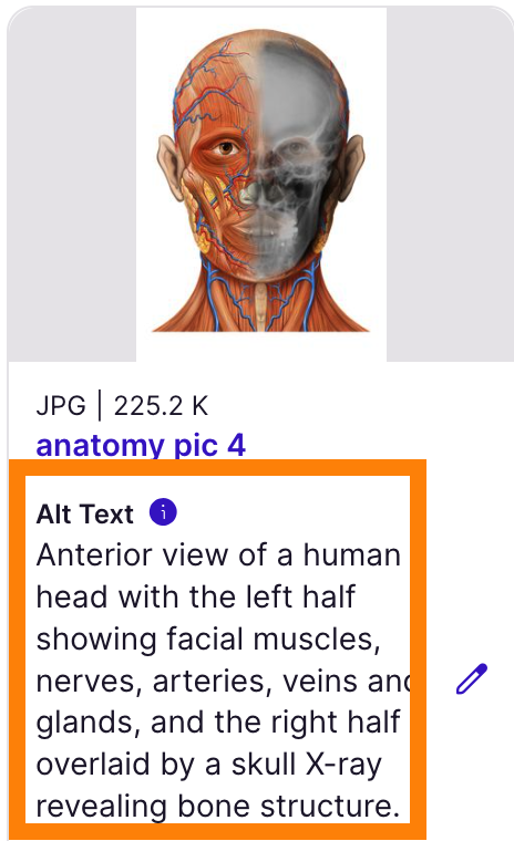 Filled alt text field