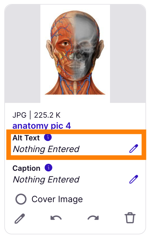 Alt text = Nothing entered