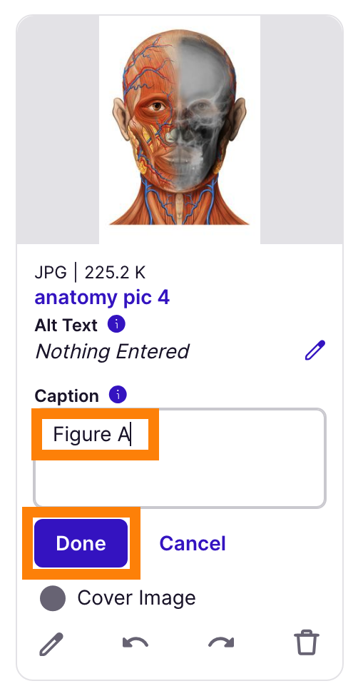 Text field and done button