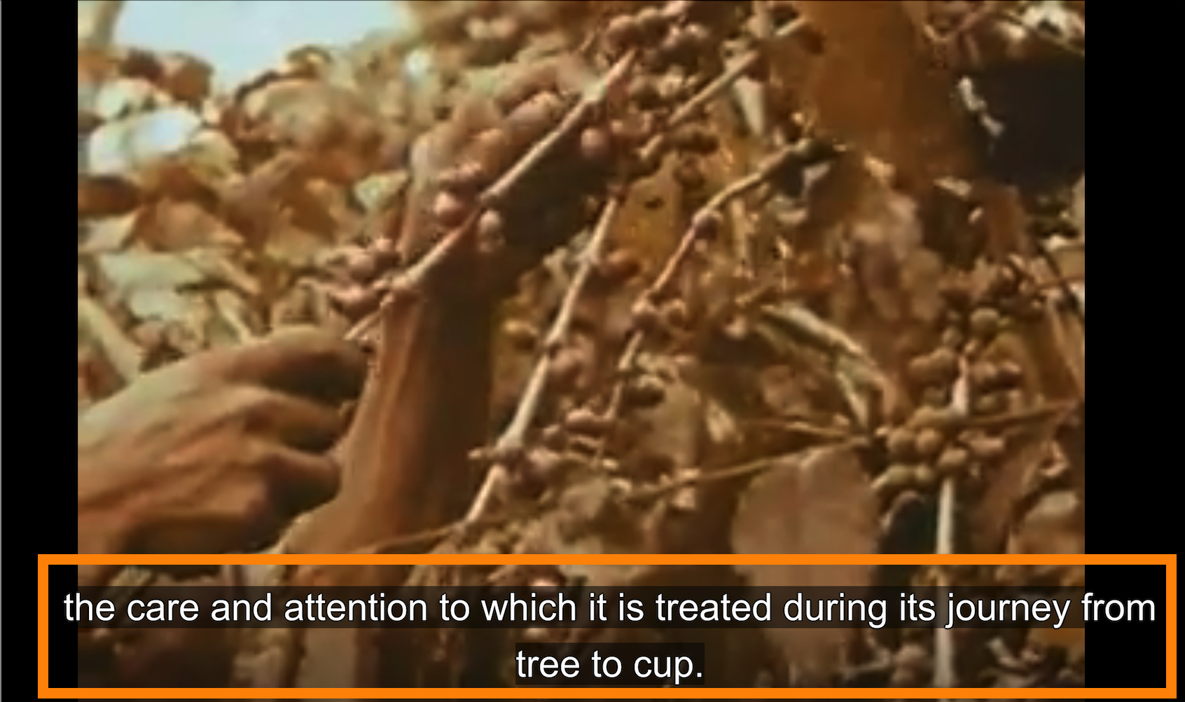 screenshot showing closed captions on a video