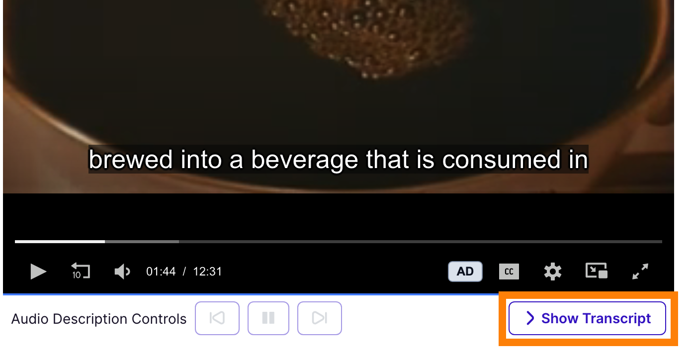 Show transcript button