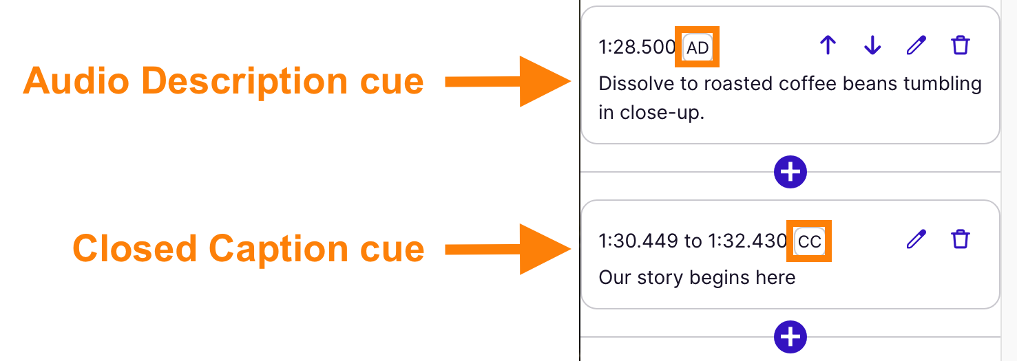 Audio description and closed caption cues in transcript editor