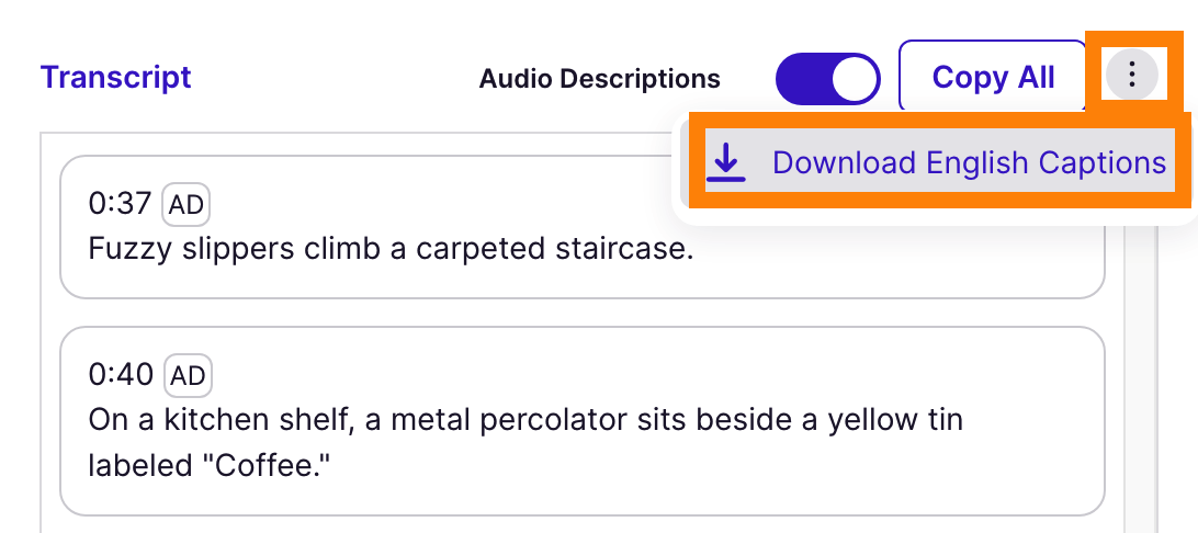 Transcript kebab menu with captions selected for download