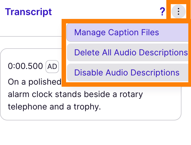 manage captions kebab menu