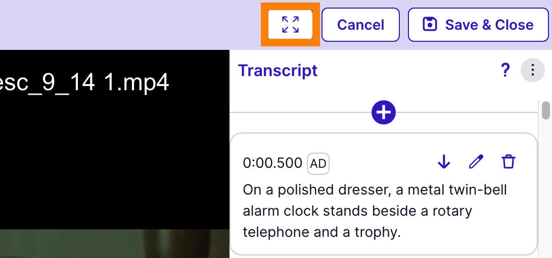 Open in full screen button