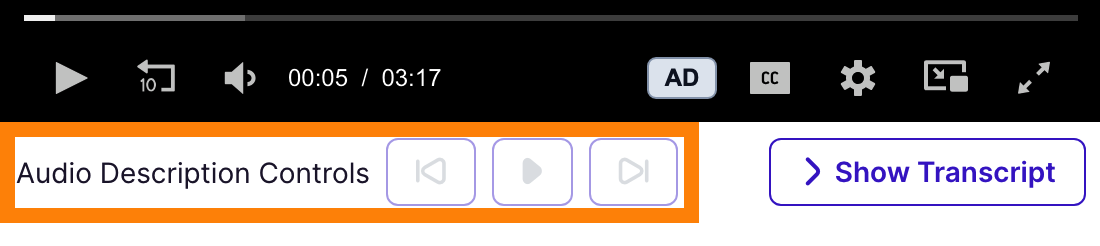 Inactive audio description controls