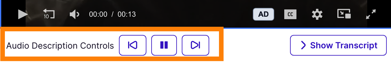 Active audio description controls