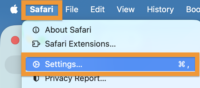 Safari menu: Privacy