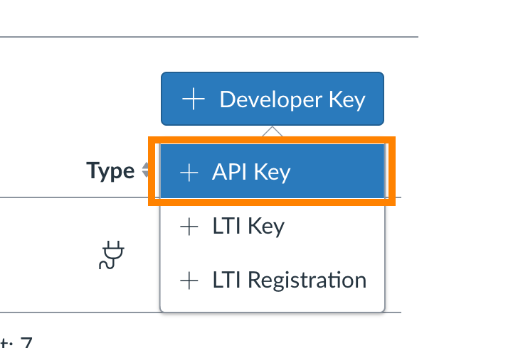 Dropdown menu labeled "Developer Key" expanded to show options: "API Key" (highlighted), "LTI Key", and "LTI Registration."